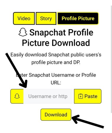 Step 2: Paste the link