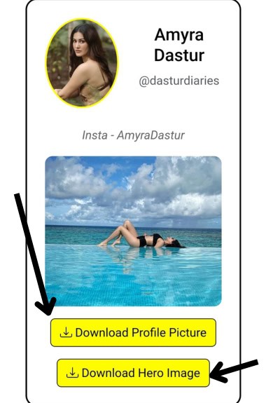 Step 3: Download the Pic
