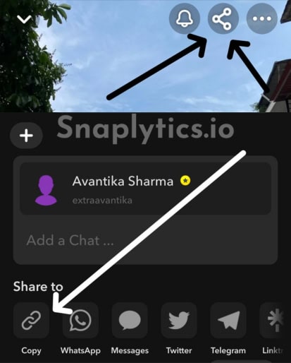 Step 1: Copy Profile link