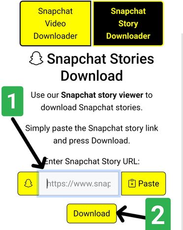 Step 2: Paste the link