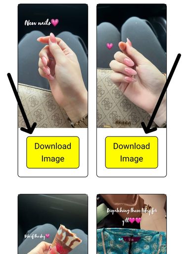Step 3: Download the Media