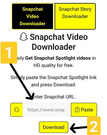 Step 2: Paste the link